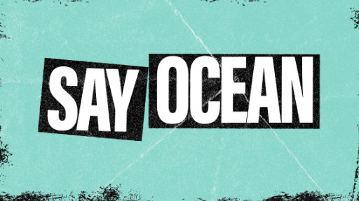 Say Ocean